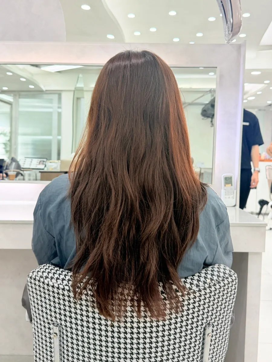 Hair condition before starting the Re-born repair dye