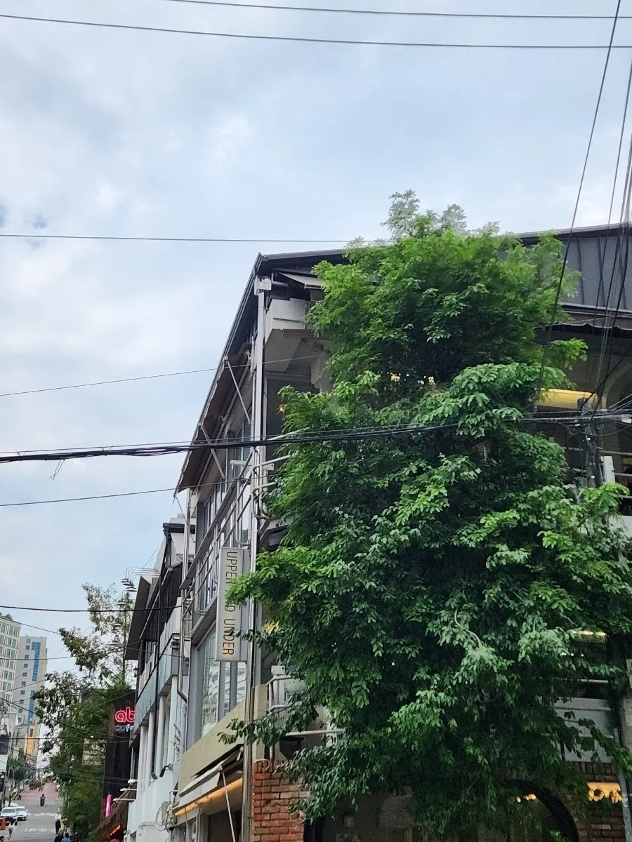 강남역 카페 어퍼앤언더 건물 외관
