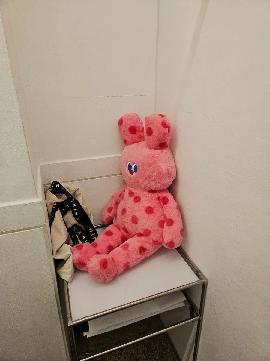 관리 중 안고 있을 수 있는 인형