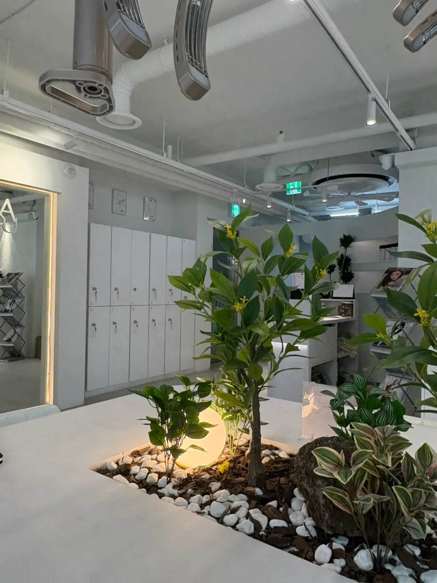 Spacious, quiet treatment area inside Anew Hair Cheongdam Main Branch