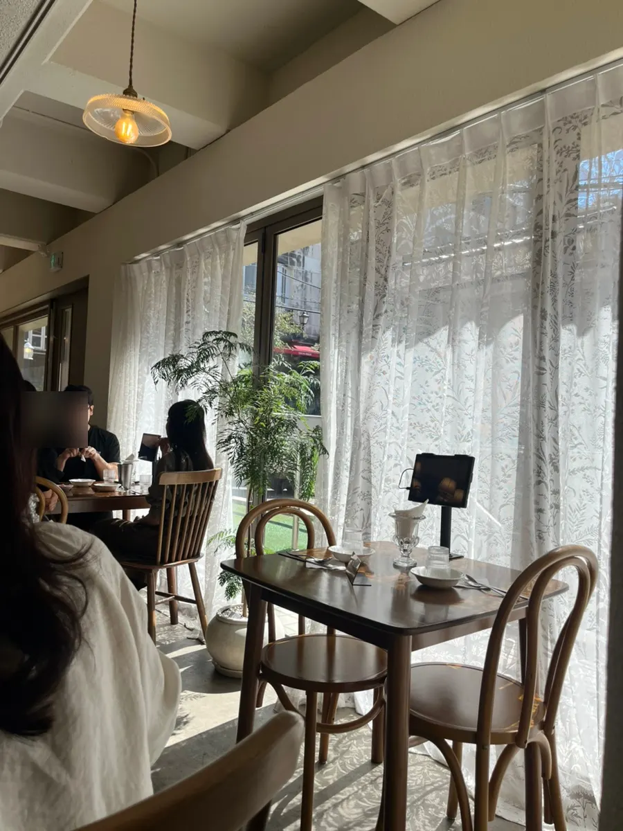 햇살이 드는 모아 강남 창가자리