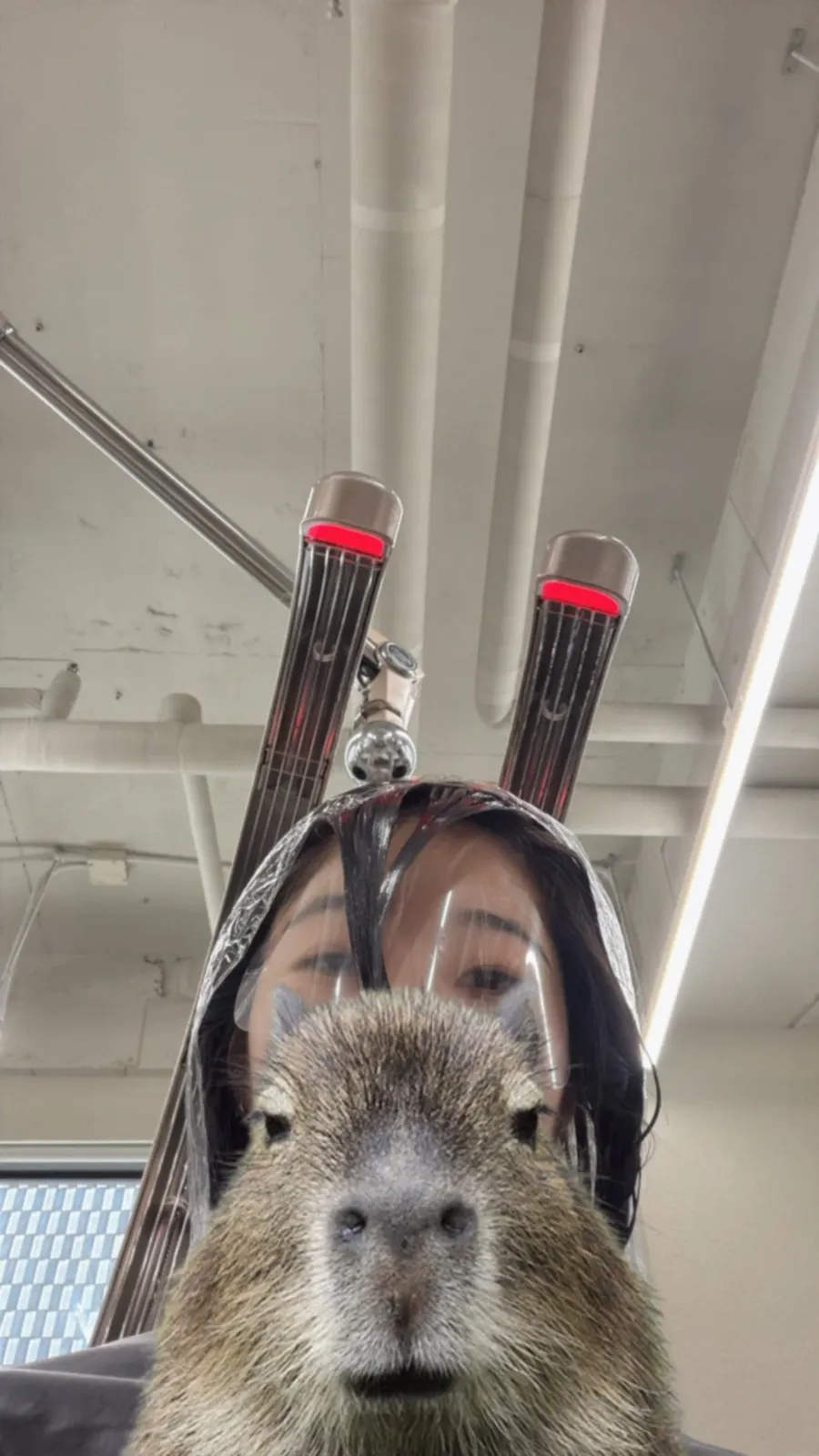 Consultation before the S-curl perm treatment
