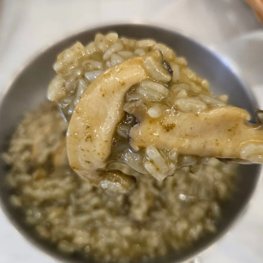 Steam rising from warm abalone porridge