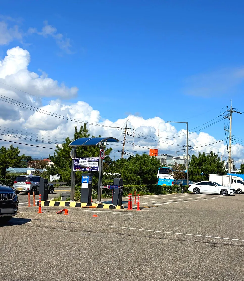 View of the free parking lot in front of the restaurant