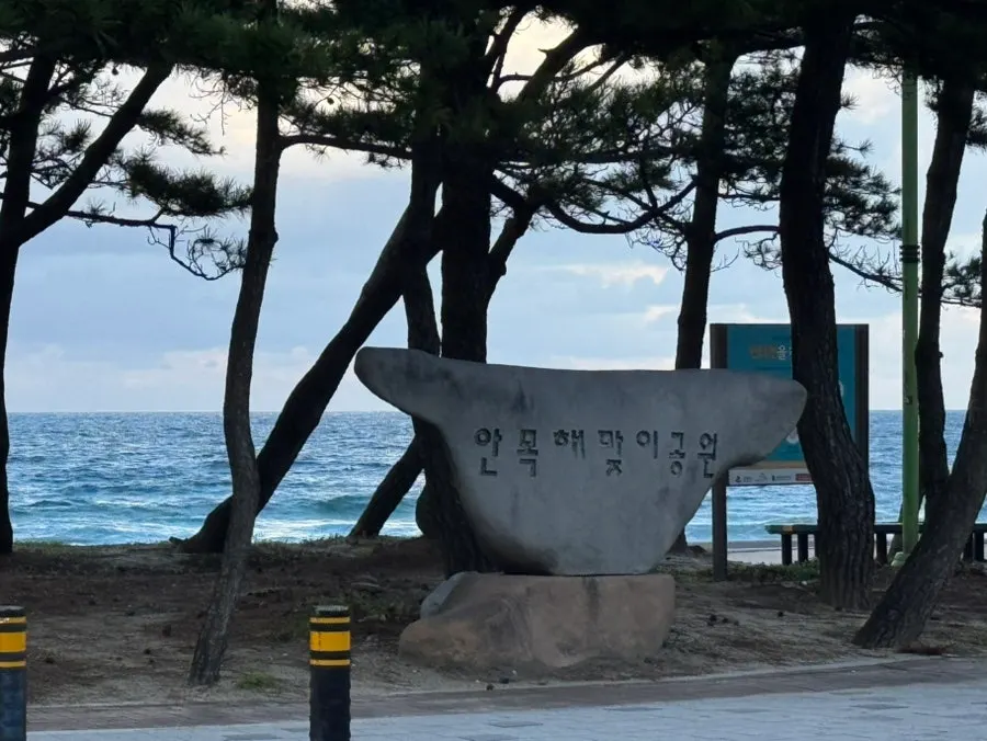 안목카페거리 시작점에 있는 펜션 주변 거리