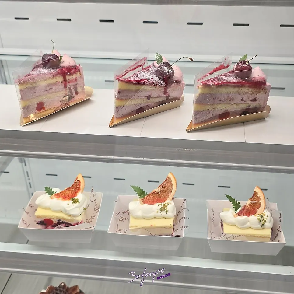 Cherry, yogurt, and chocolate cake showcase at Baegya Coffee