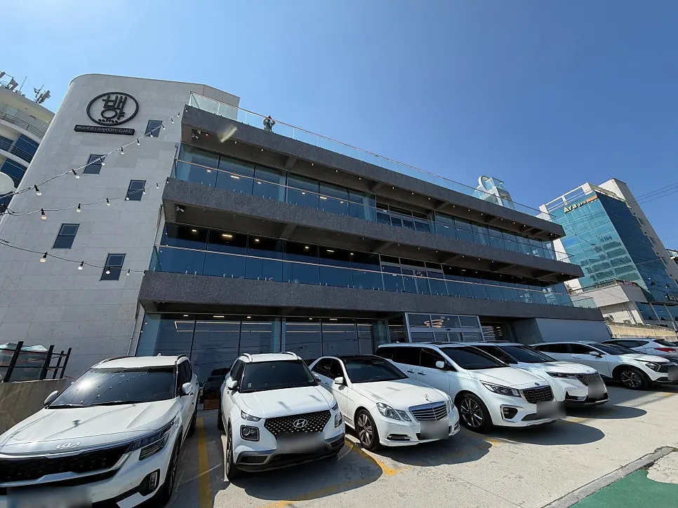 사근진해변 앞 백야커피 주변 바다