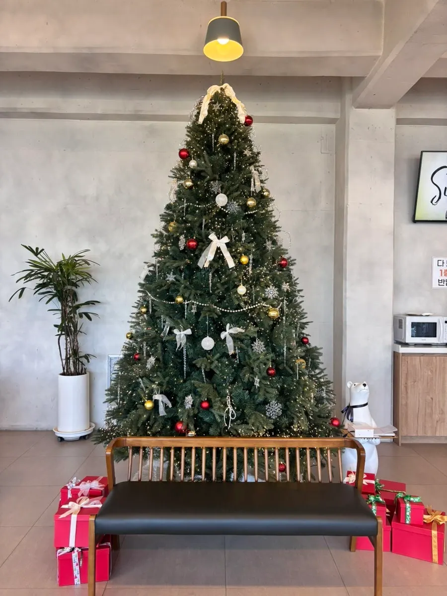 Visit to Baegya Coffee in Gangneung