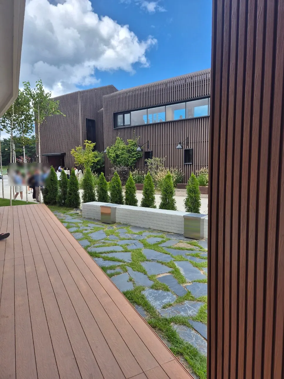 Garden and plants around the café