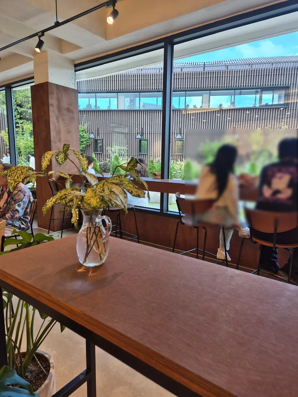 Large palm tree in the center of the café