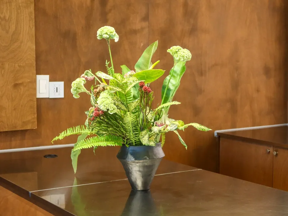 Café interior decorated with plants