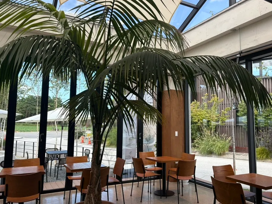 Interior tables and lighting at Coffee Dripper