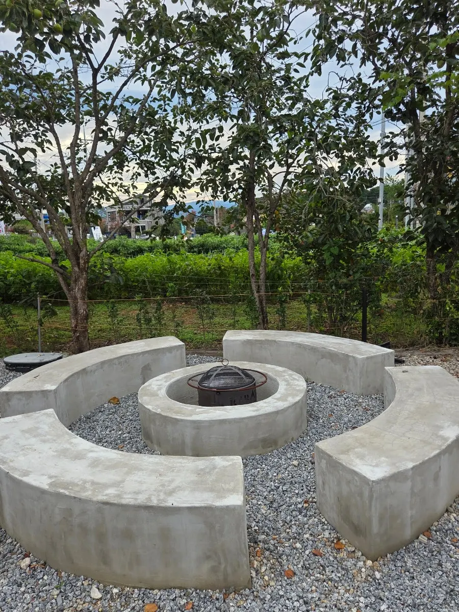 Outdoor café space with plants and a stone path