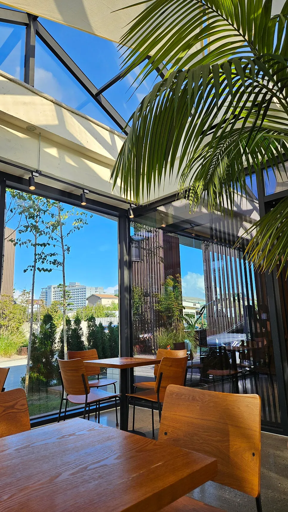 Sunlit window seating in the greenhouse area