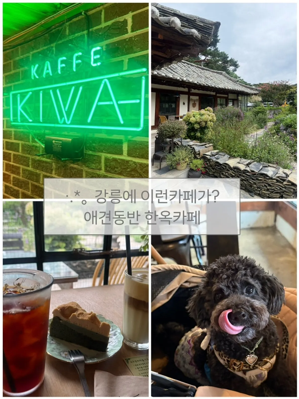 강릉 초당동 카페기와 한옥과 정원 전경