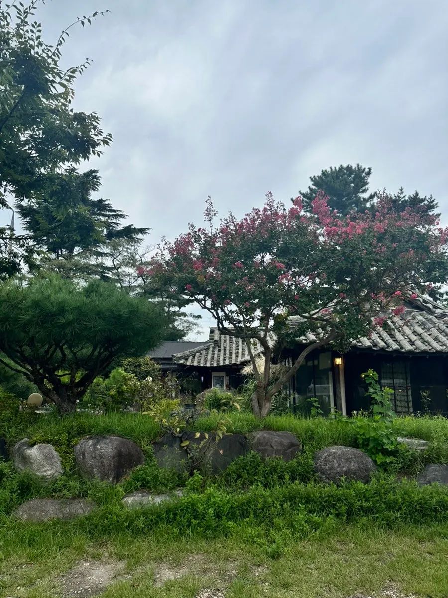 Flowers and plants in Cafe Giwa's garden