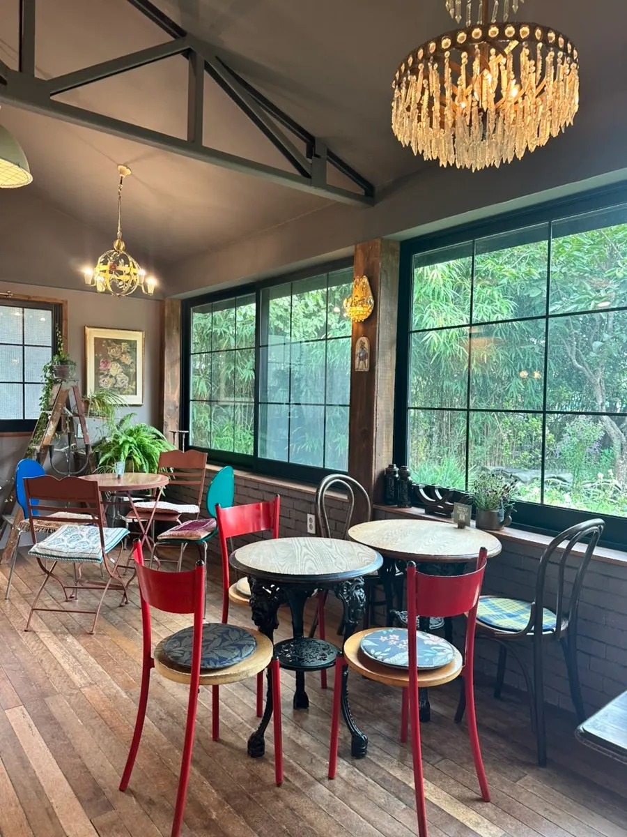 Seat by the window with a tree view at Cafe Giwa