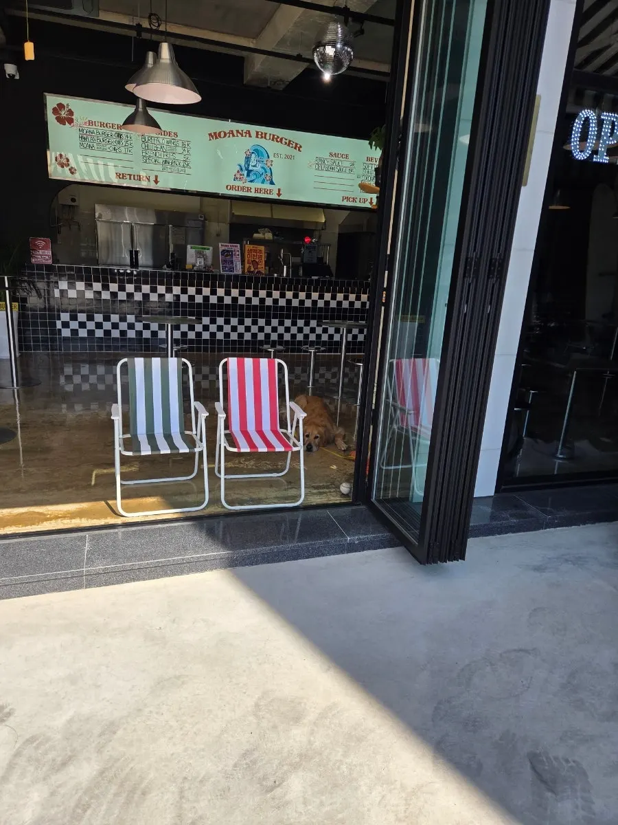 Moana Burger entrance with folding doors open