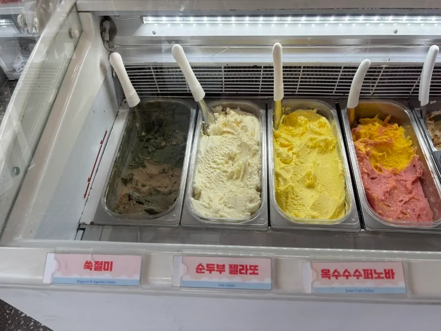Display case with various gelato flavors