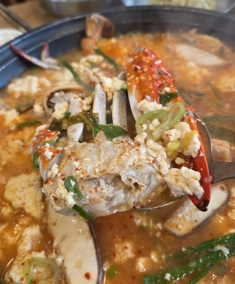 Close-up of sundubu jjigae with crab and mushrooms
