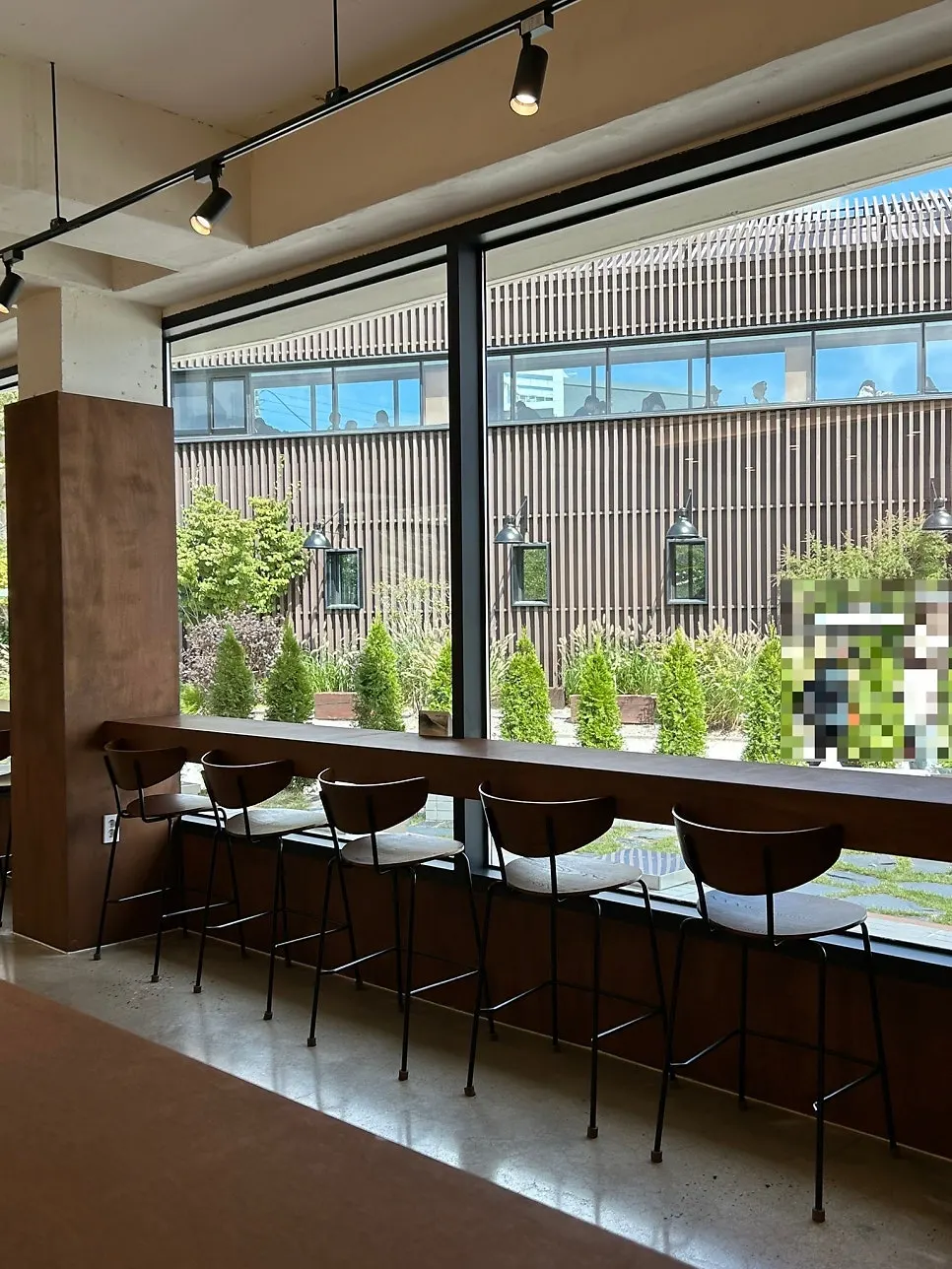 Café interior with plants and lighting arranged inside