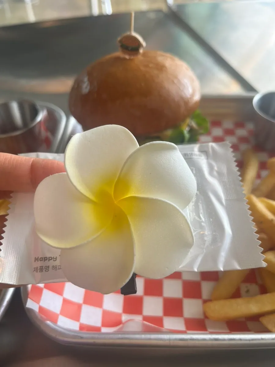Moana Burger set with fries