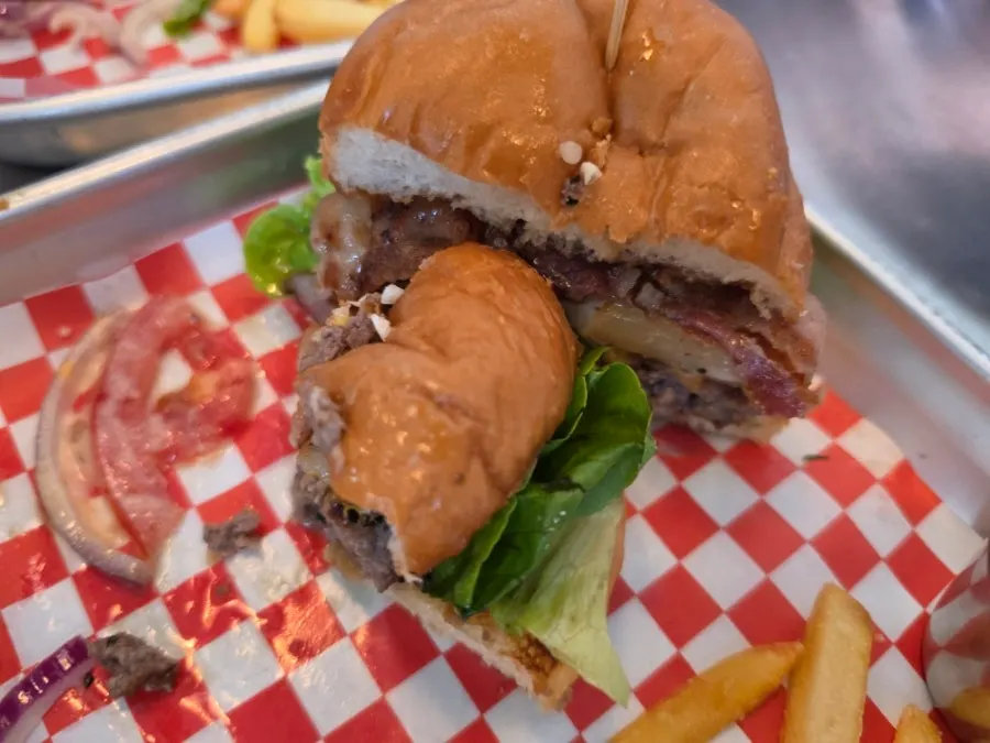 Fries served alongside the burger