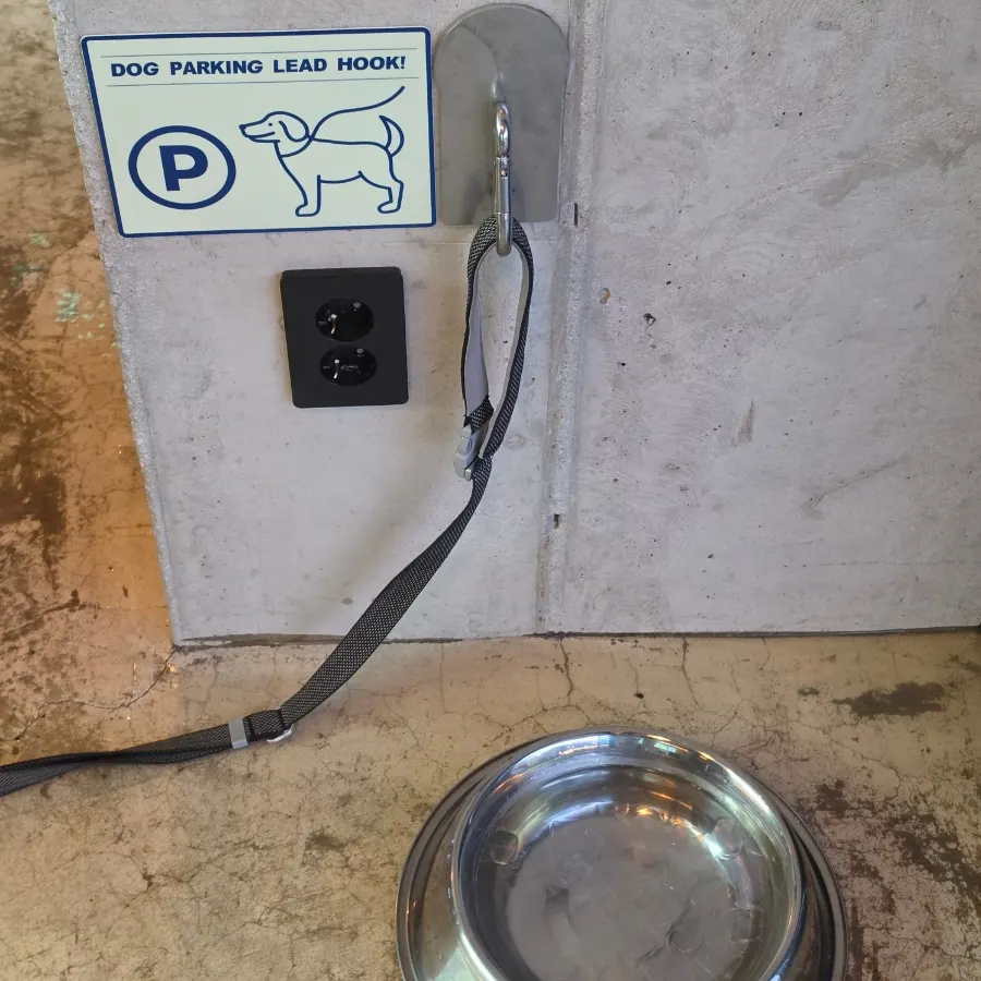 The resident dog on a leash inside the store
