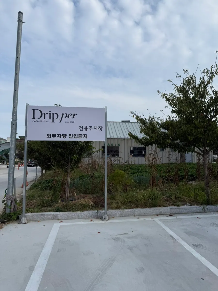 Garden view at Coffee Dripper café
