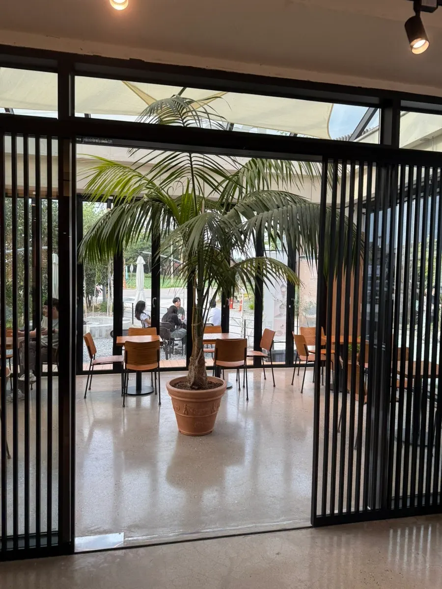 Widely spaced tables and chairs at Coffee Dripper