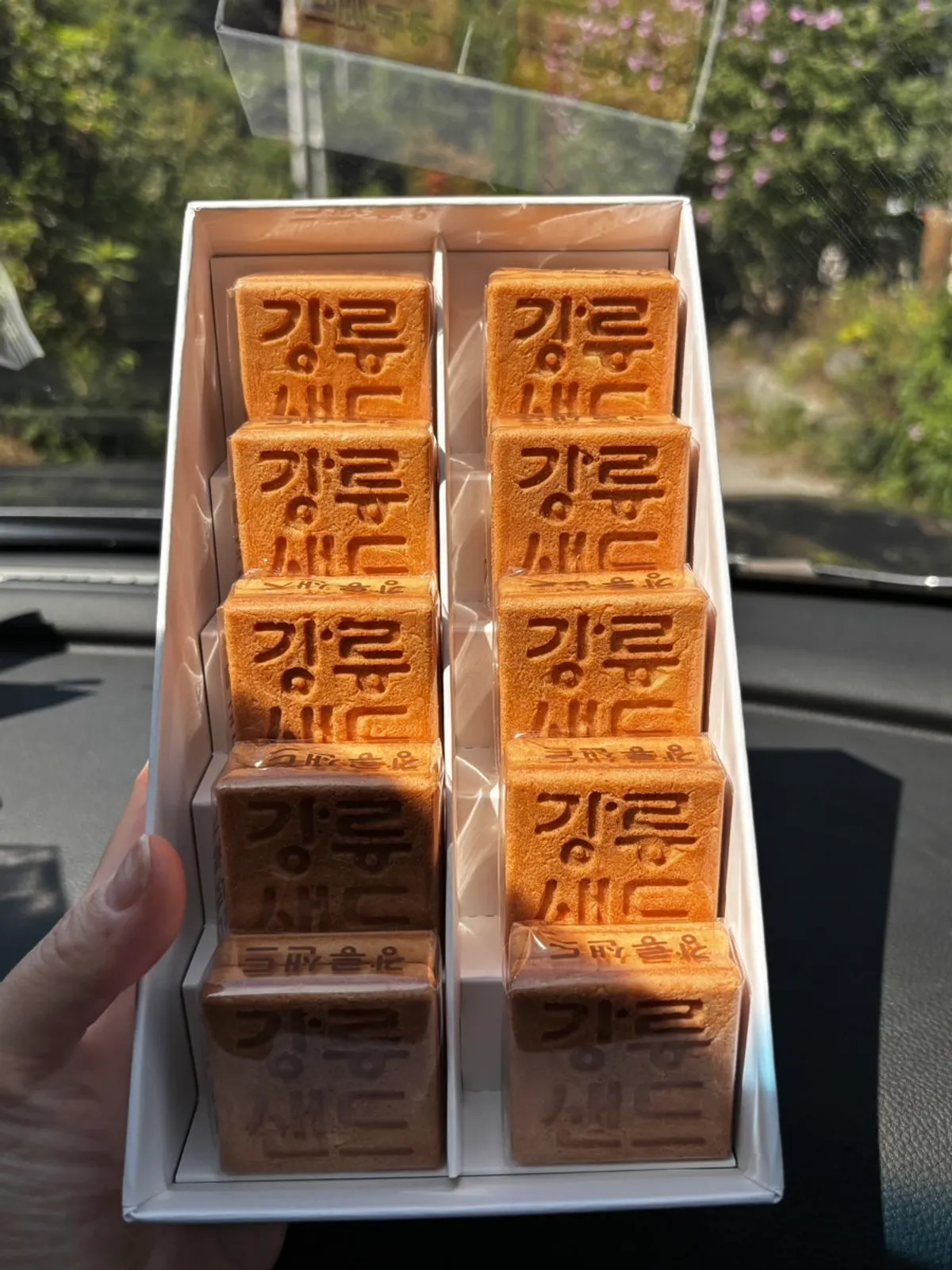 Coffee and Chodang sweet corn Gangneung Sand