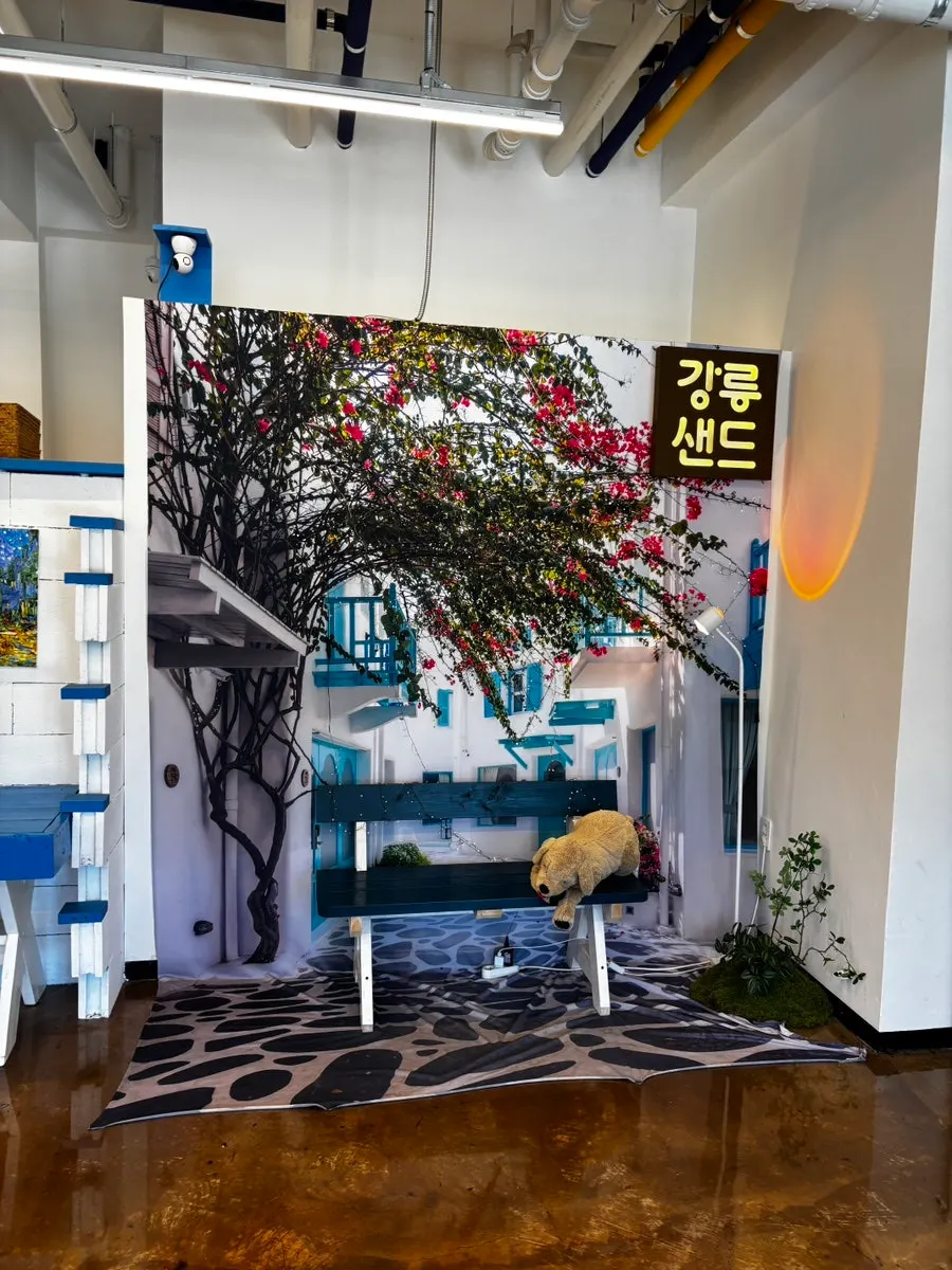 Exhibition and event space at Gangneung Sand Main Branch