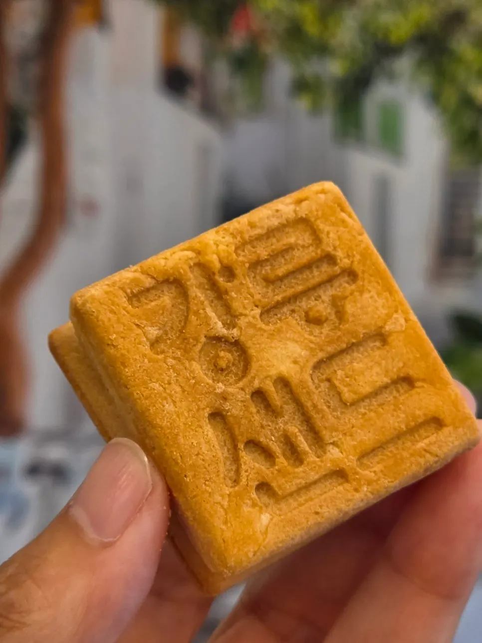 핑크빛 벚꽃 패키지 커피맛 강릉샌드