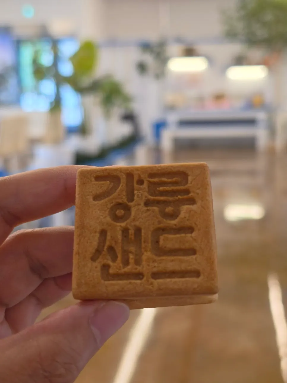 개별포장된 커피맛 강릉샌드
