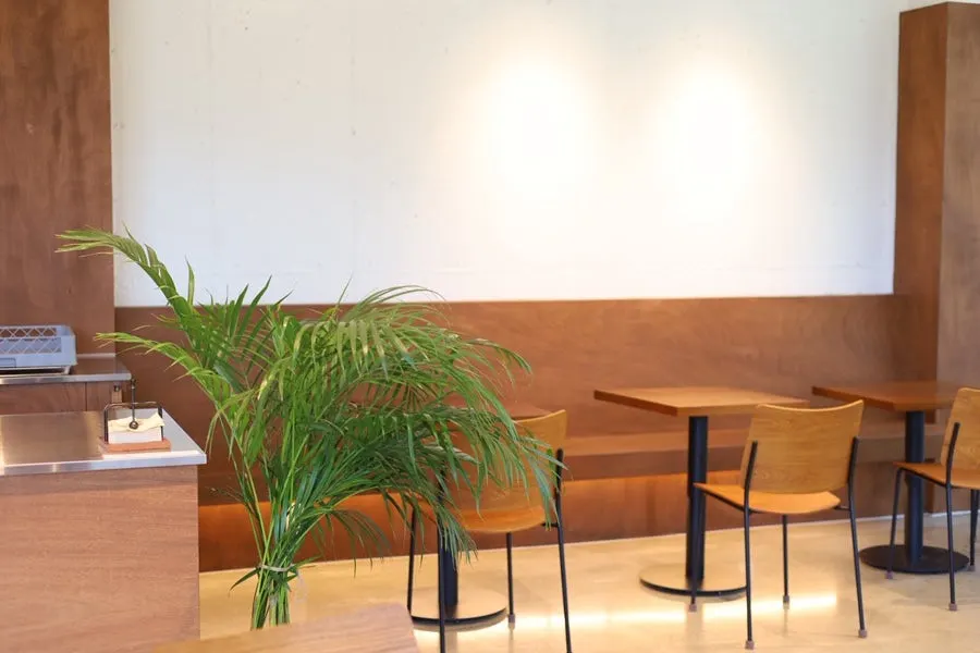 Uncrowded café tables on a weekday morning