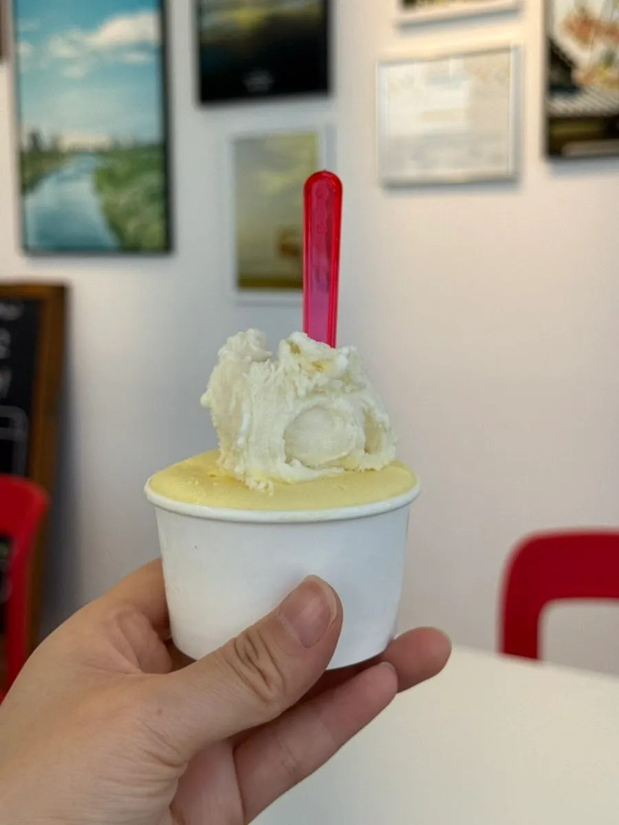 Corn Super Nopa and a soft tofu gelato sampler