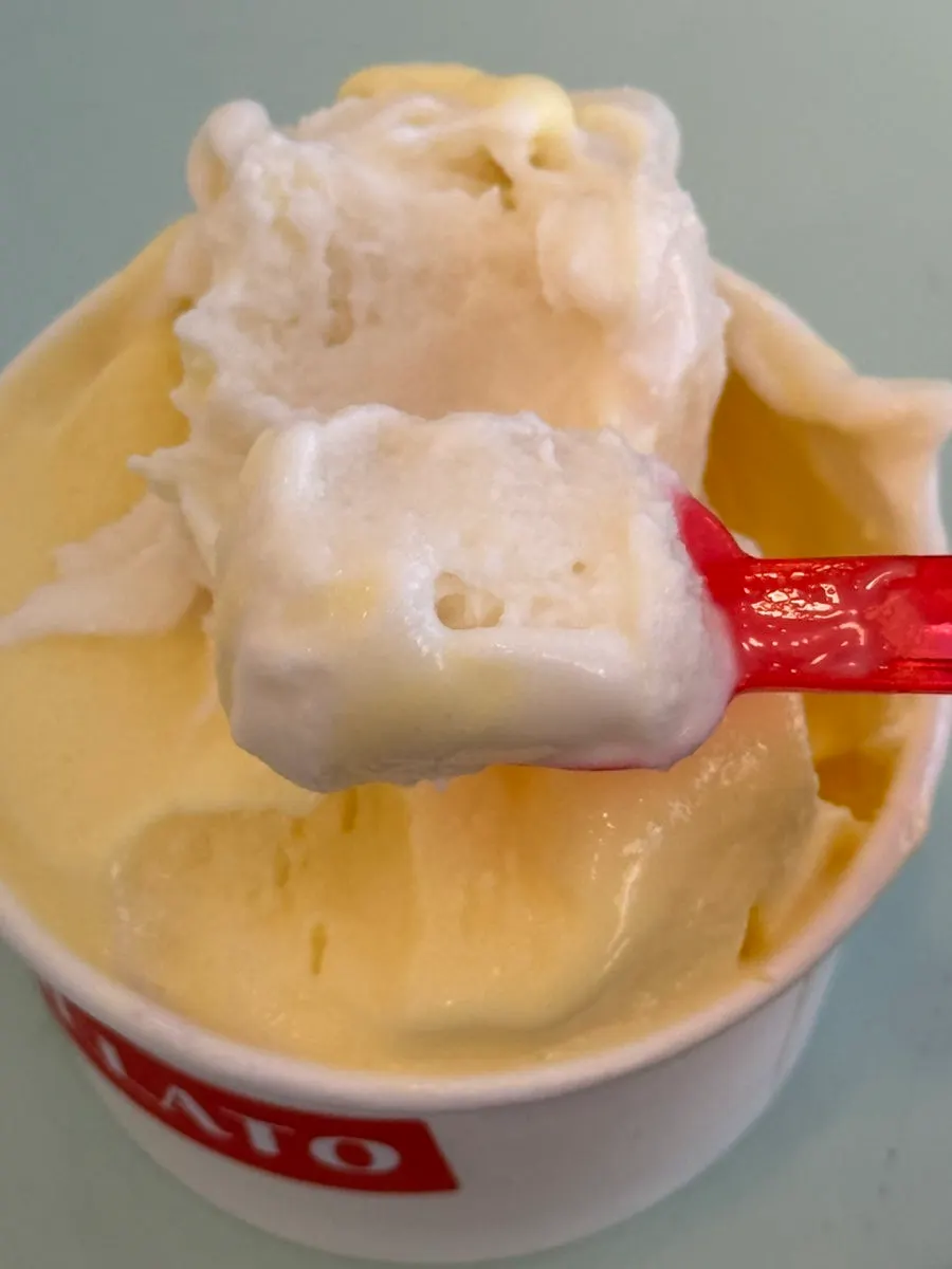 A generous scoop of soft tofu gelato sampler