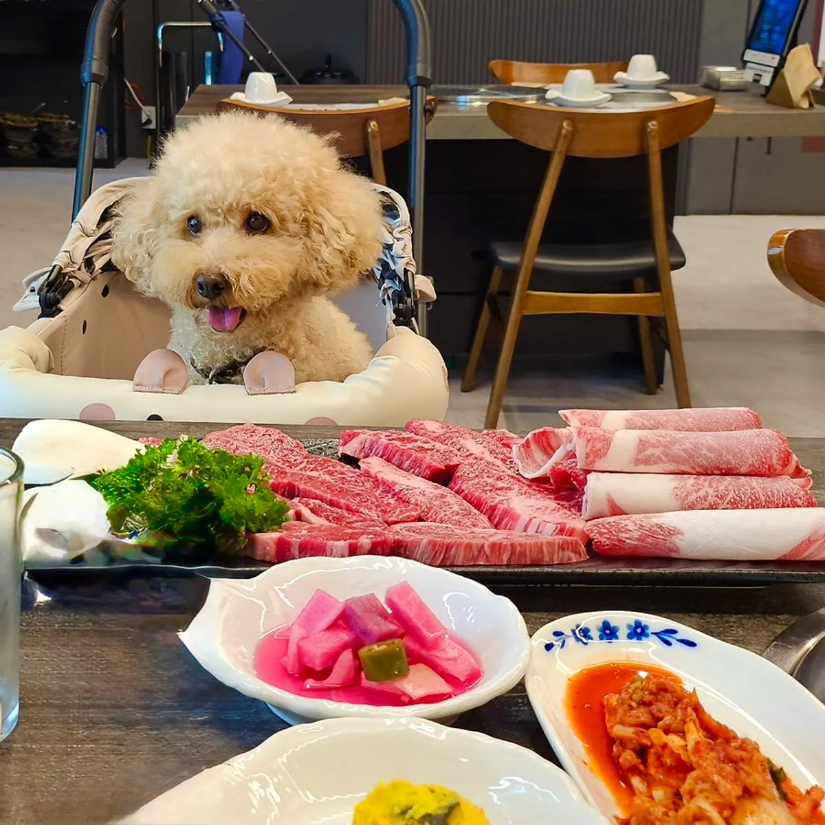 Main photo from the visit to dog-friendly Gangneung restaurant Chodang Uga