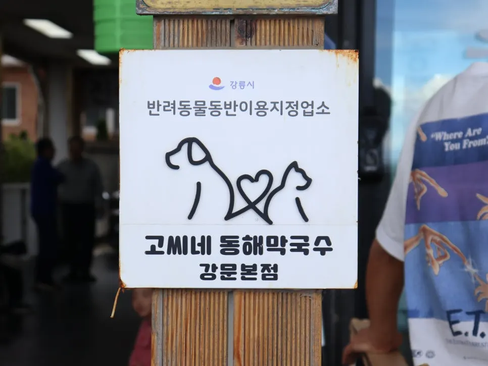 강릉 창해로 고씨네동해막국수 입구 주변 풍경