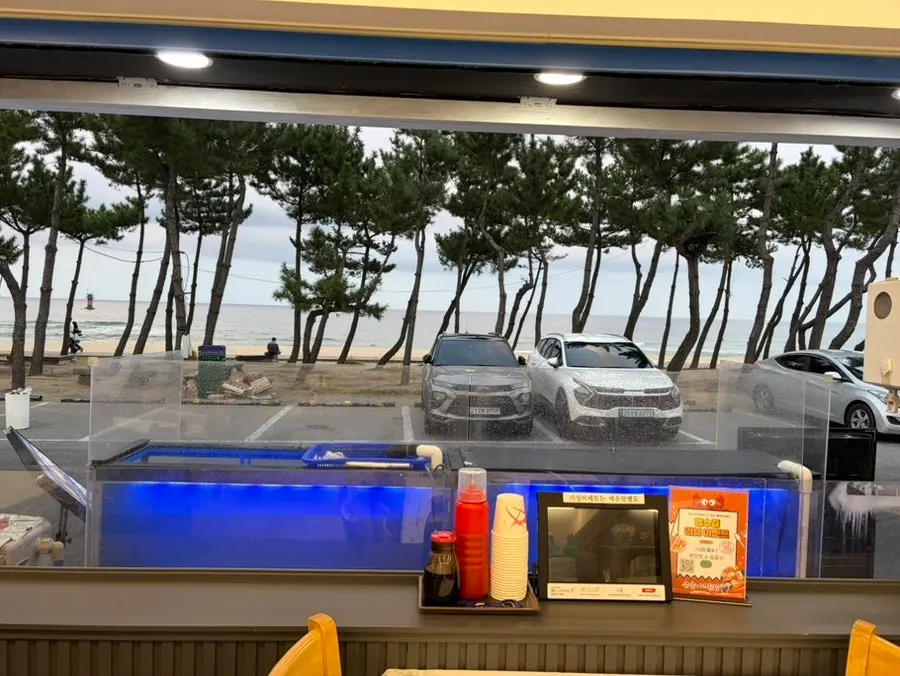 Ocean view of Gyeongpodae Beach from the window seat