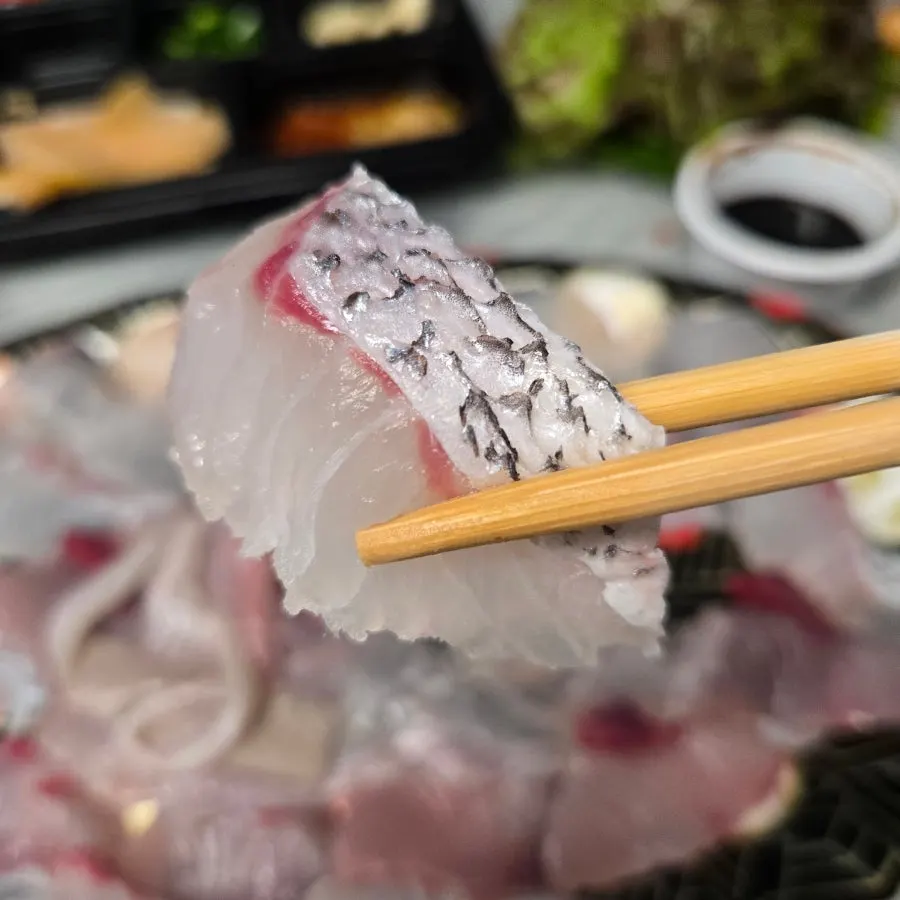 두툼하게 썰린 회 한 점