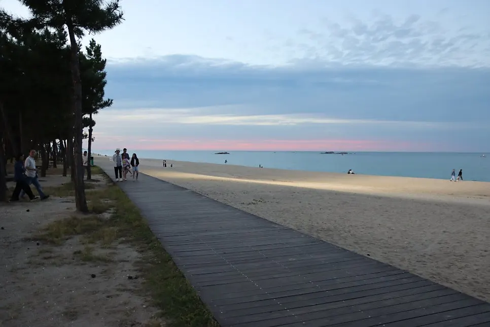 Path leading through the pine forest to Gyeongpodae Beach