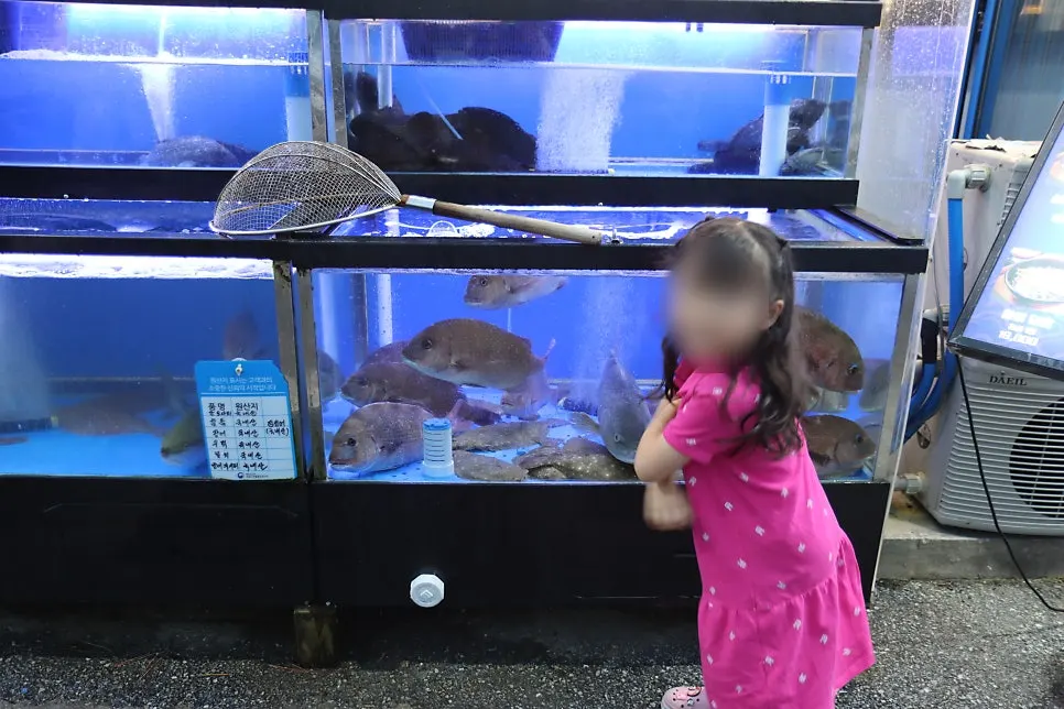 Fish tank at the entrance of Samsami-ne