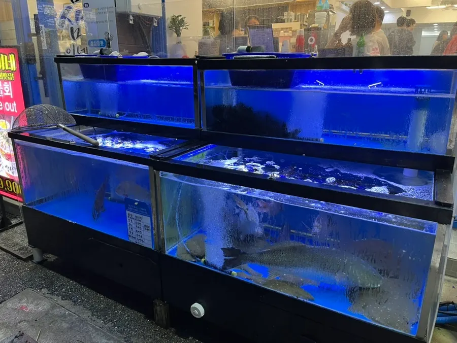 삼삼이네 경포대본점 매장 정보 사진