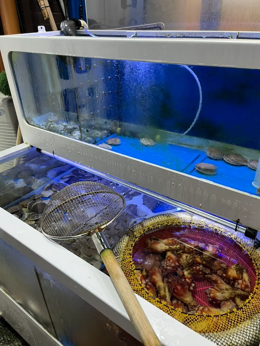 활어가 헤엄치는 삼삼이네 수족관