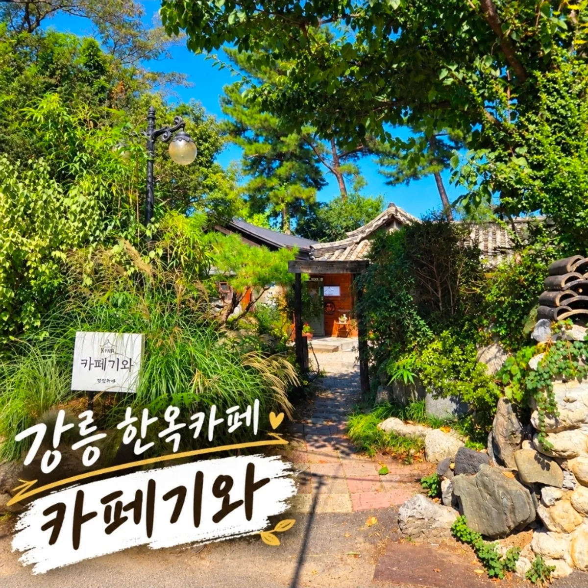 강릉 초당동 한옥카페 카페기와 기와지붕과 정원