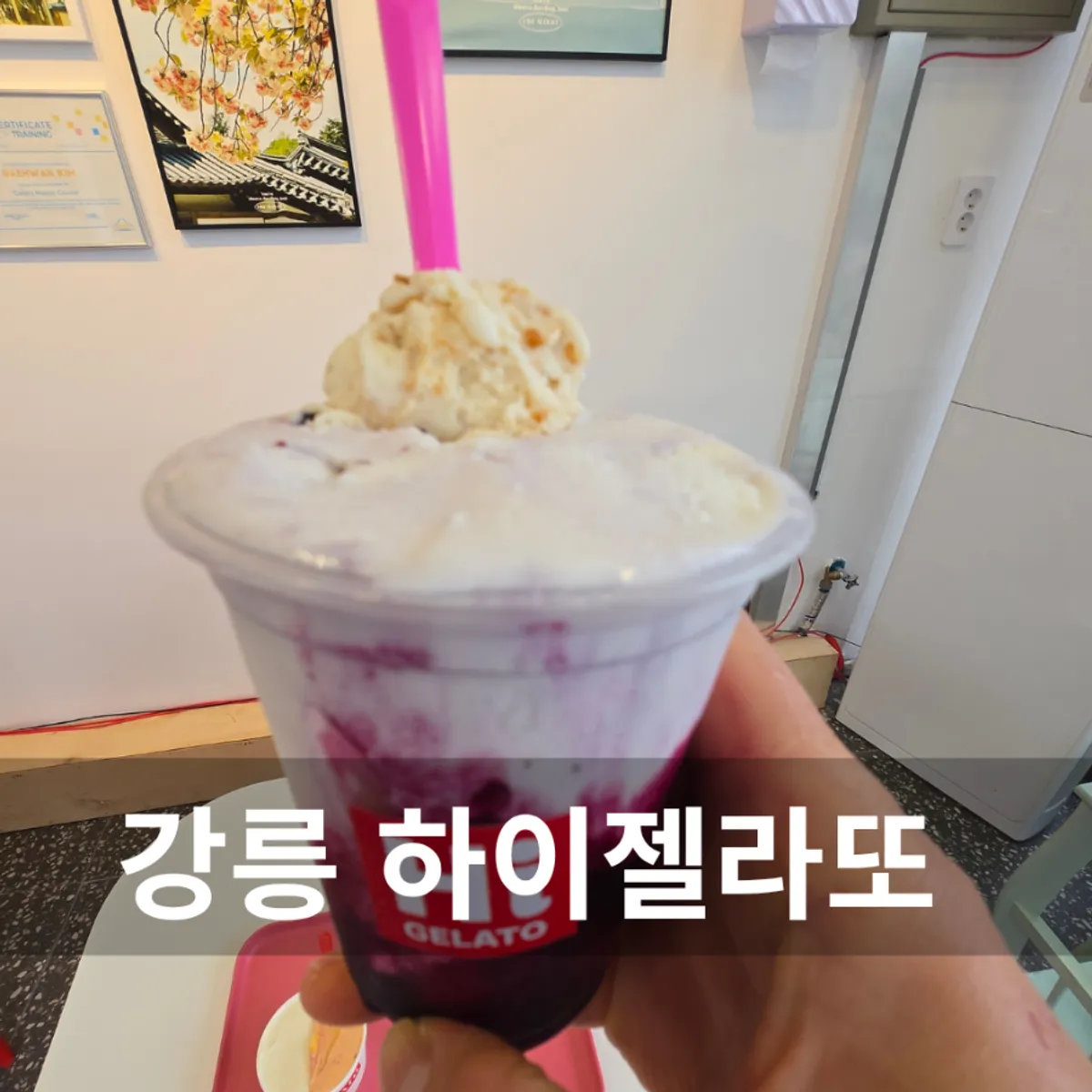 강릉 하이젤라또 순두부젤라또 컵