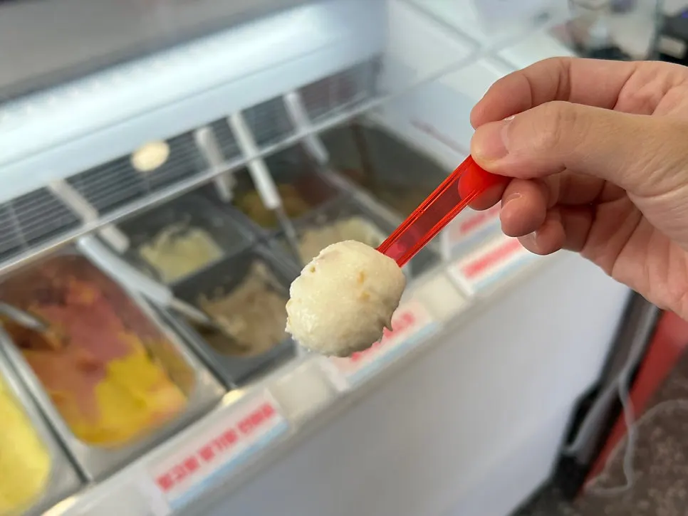 Guide to Hi Gelato's flavor options