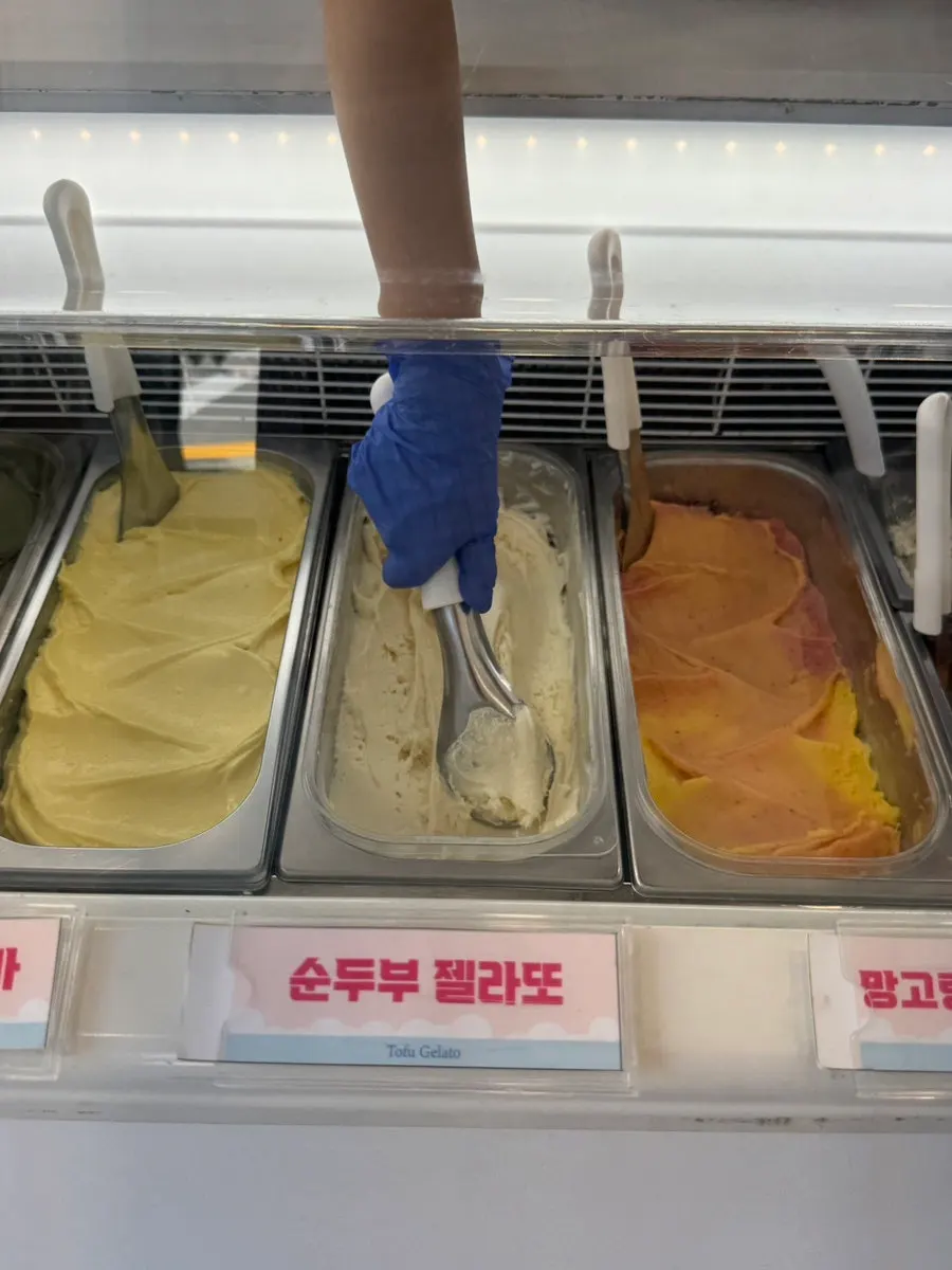 순두부와 쑥절미 젤라또 큰 컵