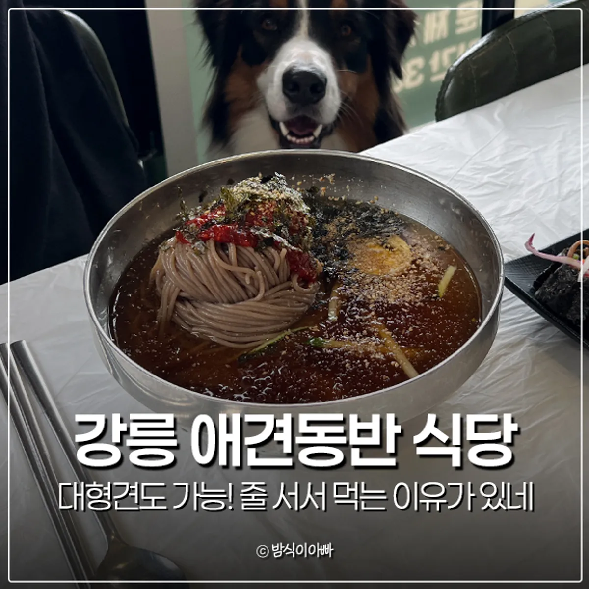 Representative photo of Gossi's Donghae Makguksu in Gangneung